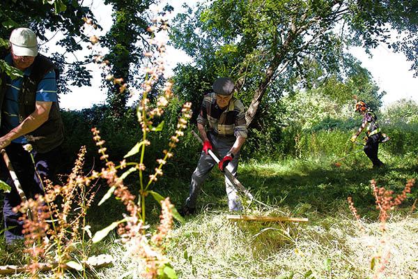 Friends of Park Wood Work Day